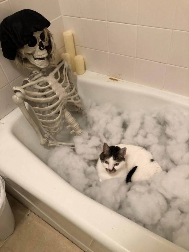 daily picdump 100 pics 41.html - 100 HD Photos | Premium Gallery 2018