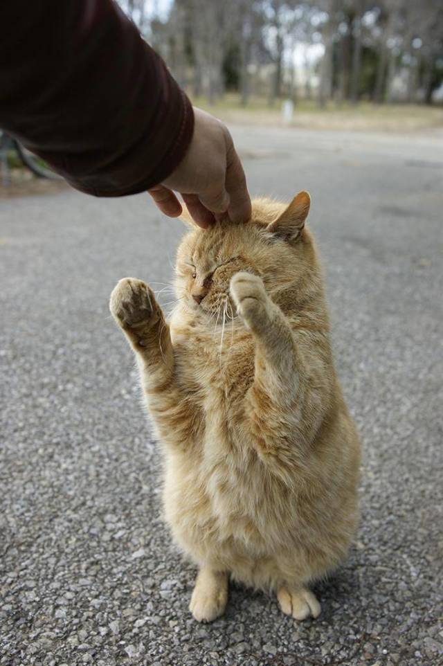 daily picdump 100 pics 41.html - 100 HD Photos | Premium Gallery 2018