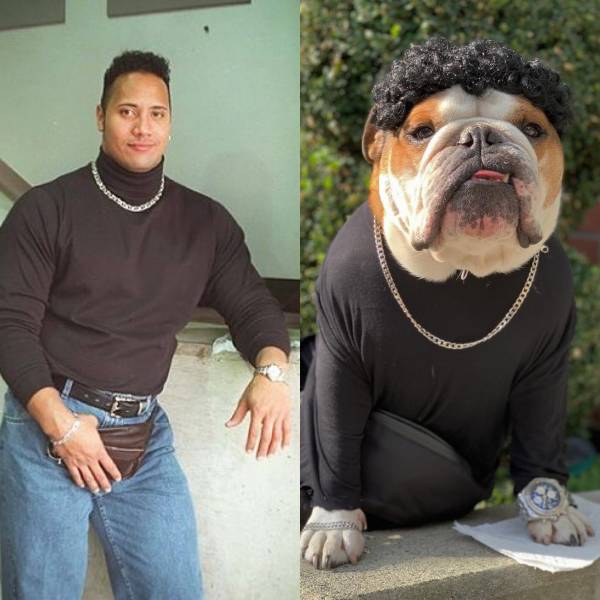 daily picdump weekend edition 53 pics 13.html - 53 HD Photos | Premium Gallery 2018