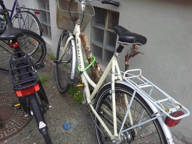 daily picdump weekend edition 53 pics 13.html - 53 HD Photos | Premium Gallery 2018