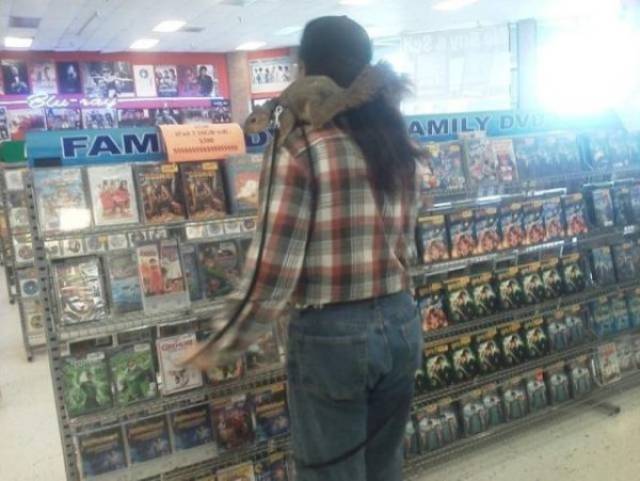 daily picdump weekend edition 53 pics 13.html - 53 HD Photos | Premium Gallery 2018