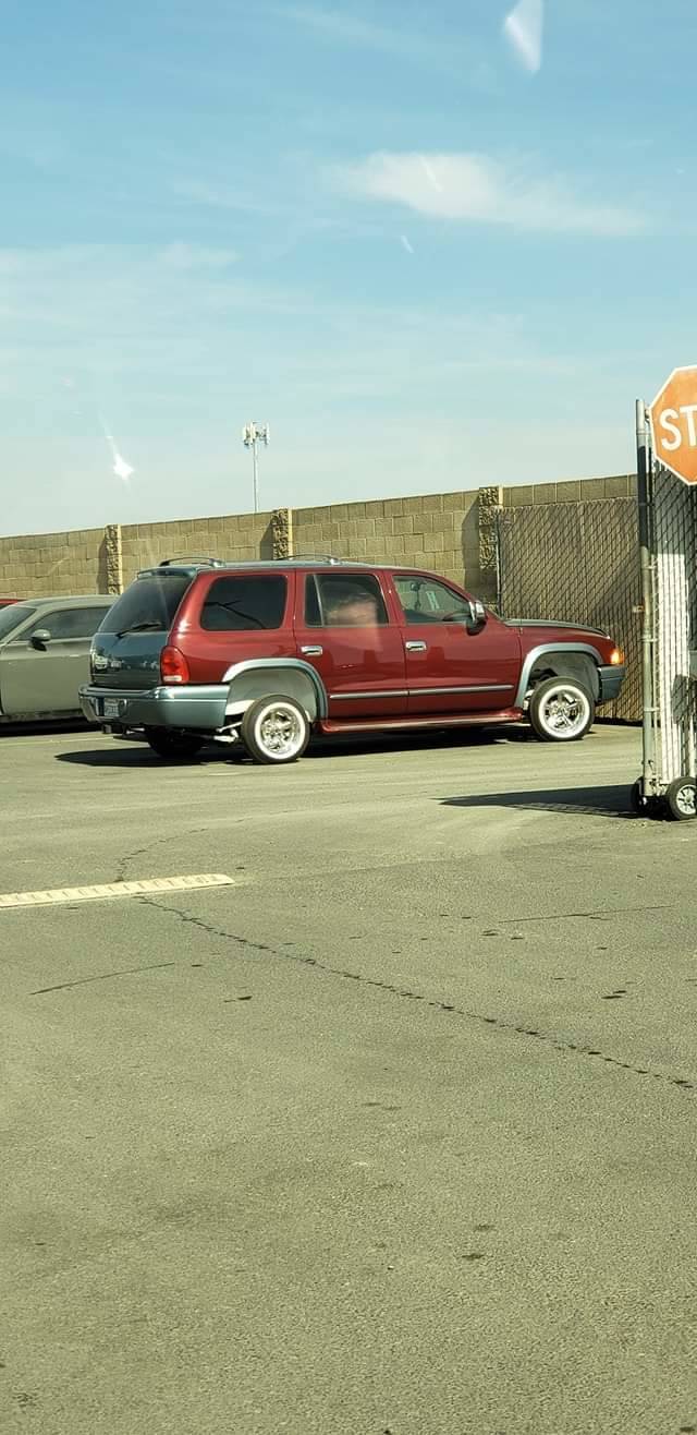 daily picdump weekend edition 53 pics 13.html - 53 HD Photos | Premium Gallery 2018