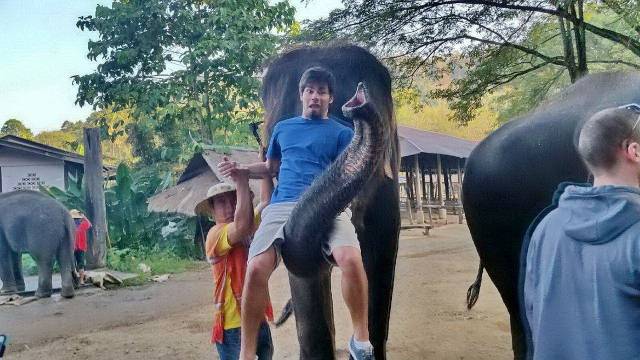 daily picdump 96 pics 36.html - 96 HD Photos | Premium Gallery 2018