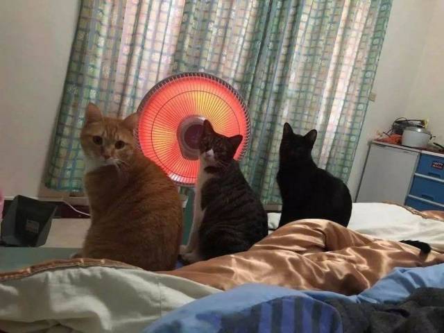 daily picdump 96 pics 36.html - 96 HD Photos | Premium Gallery 2018