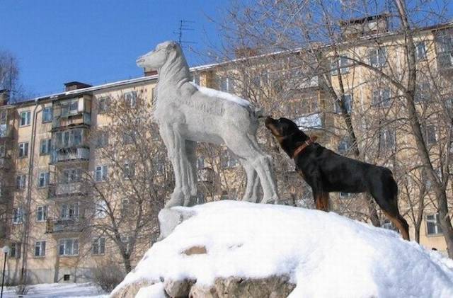 daily picdump 96 pics 36.html - 96 HD Photos | Premium Gallery 2018