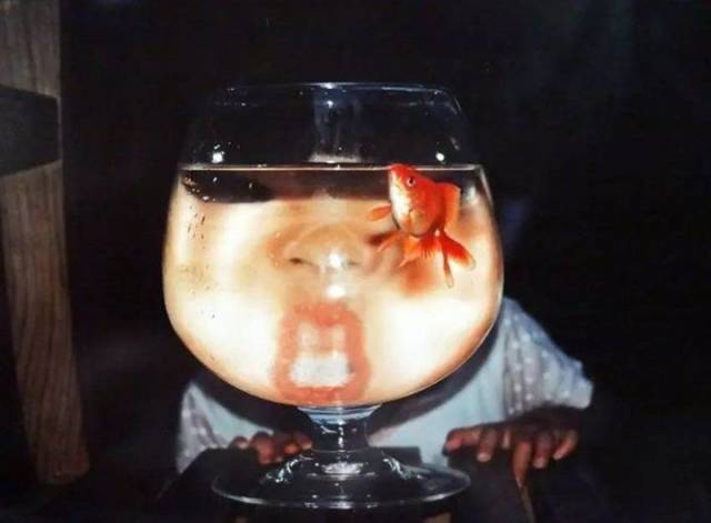 daily picdump 96 pics 36.html - 96 HD Photos | Premium Gallery 2018