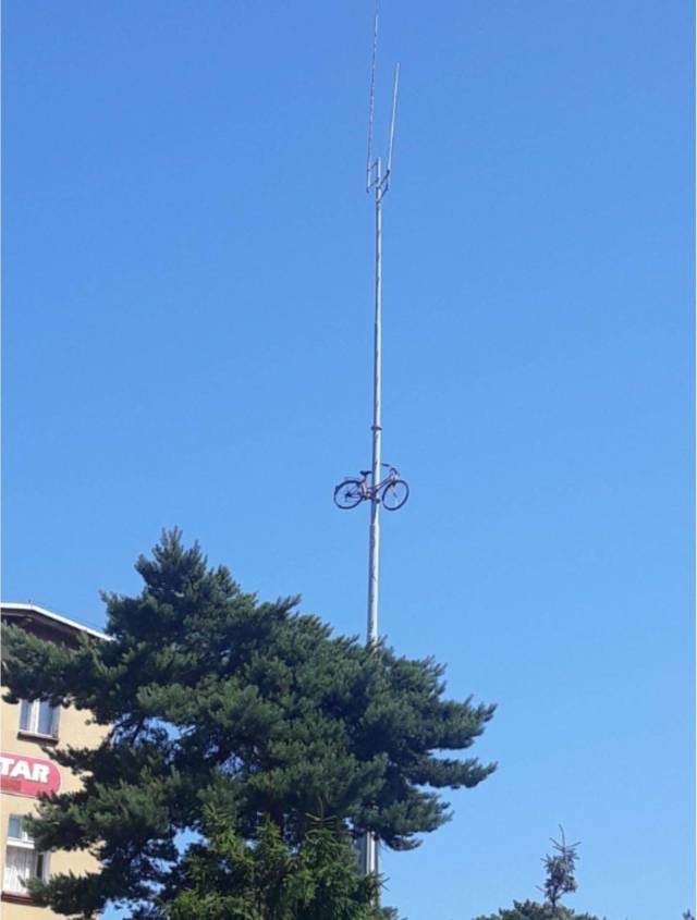 daily picdump 96 pics 36.html - 96 HD Photos | Premium Gallery 2018