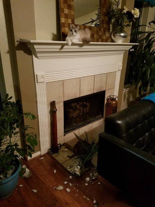 daily picdump 96 pics 36.html - 96 HD Photos | Premium Gallery 2018