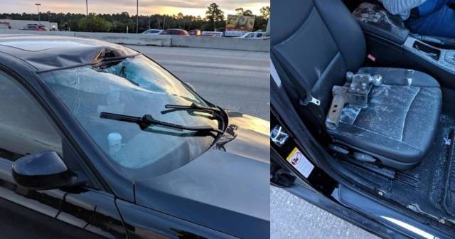 daily picdump 100 pics 49.html - 100 HD Photos | Premium Gallery 2018