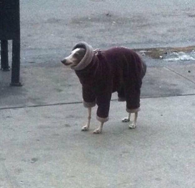 daily picdump 100 pics 49.html - 100 HD Photos | Premium Gallery 2018