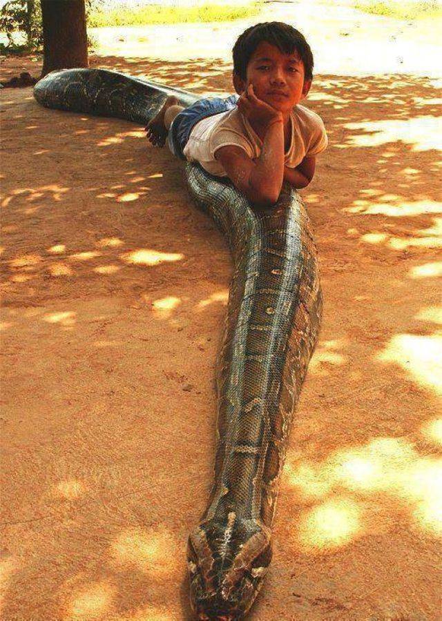 daily picdump 100 pics 49.html - 100 HD Photos | Premium Gallery 2018