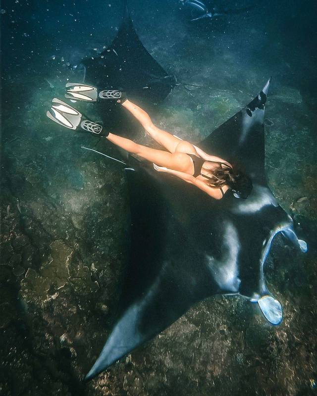 daily picdump 100 pics 49.html - 100 HD Photos | Premium Gallery 2018