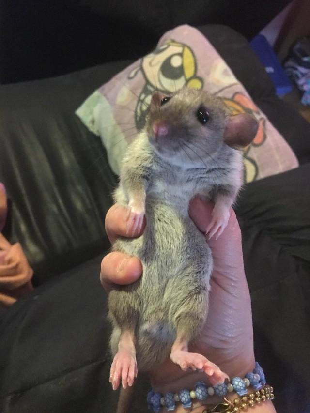 daily picdump 100 pics 49.html - 100 HD Photos | Premium Gallery 2018