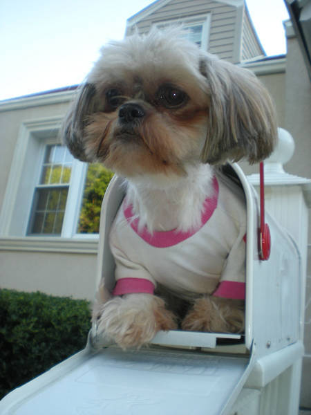 morning picdump 51 pics 22.html - 51 HD Photos | Premium Gallery 2018