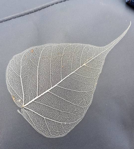 morning picdump 52 pics 17.html - 52 HD Photos | Premium Gallery 2018