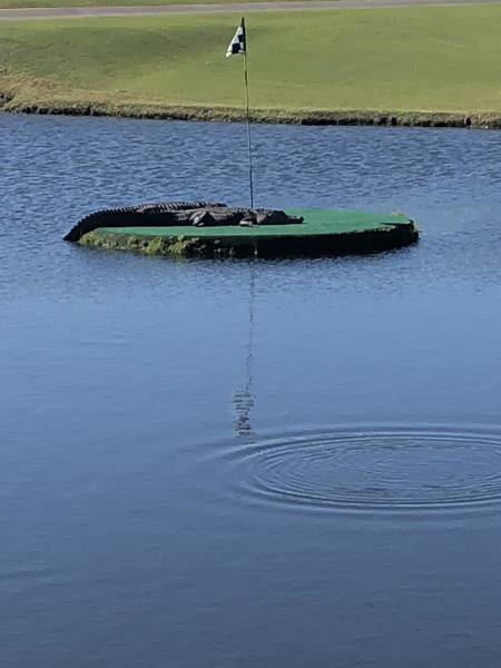 morning picdump 52 pics 17.html - 52 HD Photos | Premium Gallery 2018