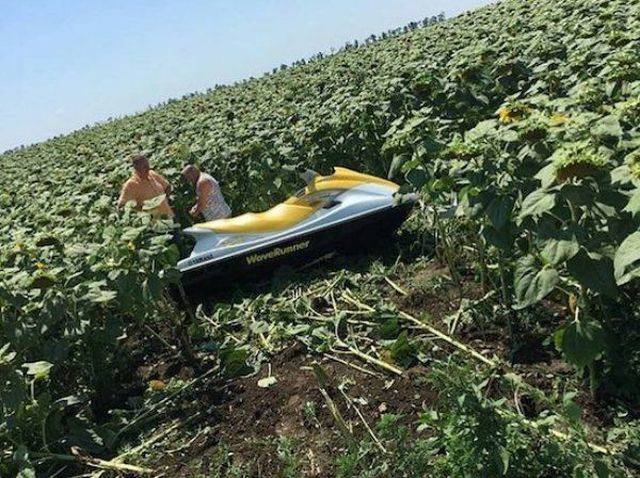 daily picdump 99 pics 5.html - 99 HD Photos | Premium Gallery 2018