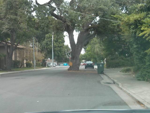 daily picdump 99 pics 5.html - 99 HD Photos | Premium Gallery 2018