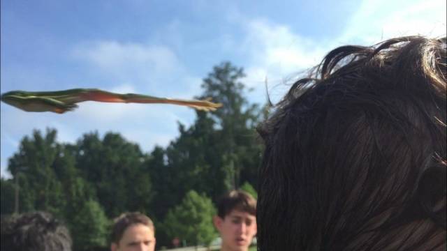 daily picdump 99 pics 5.html - 99 HD Photos | Premium Gallery 2018