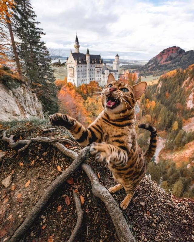 daily picdump 99 pics 5.html - 99 HD Photos | Premium Gallery 2018