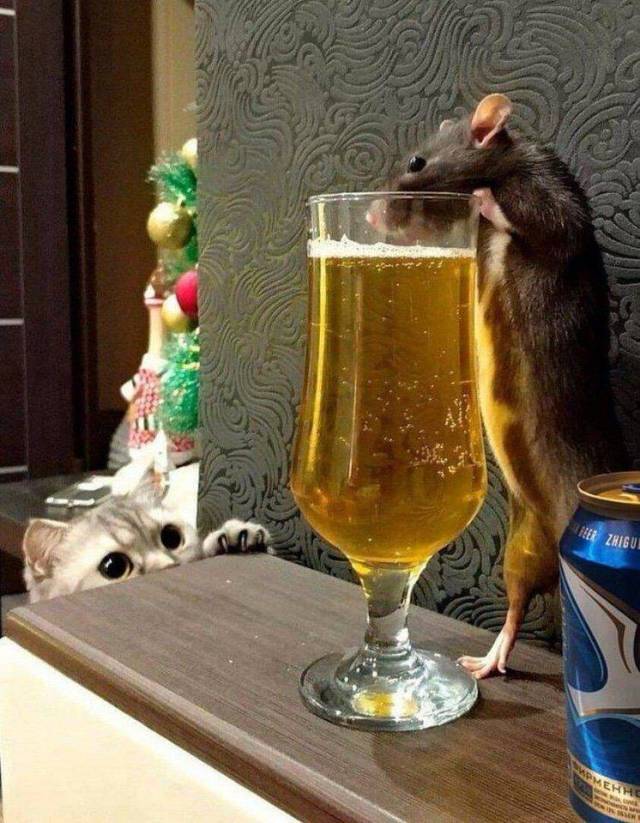 daily picdump 99 pics 5.html - 99 HD Photos | Premium Gallery 2018