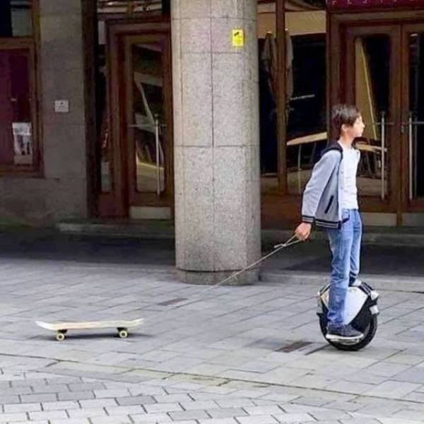 Hard-to-explain WTF Photos