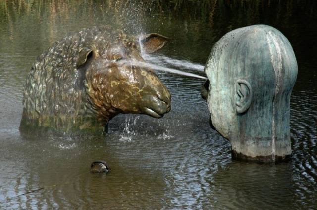 Hard-to-explain WTF Photos