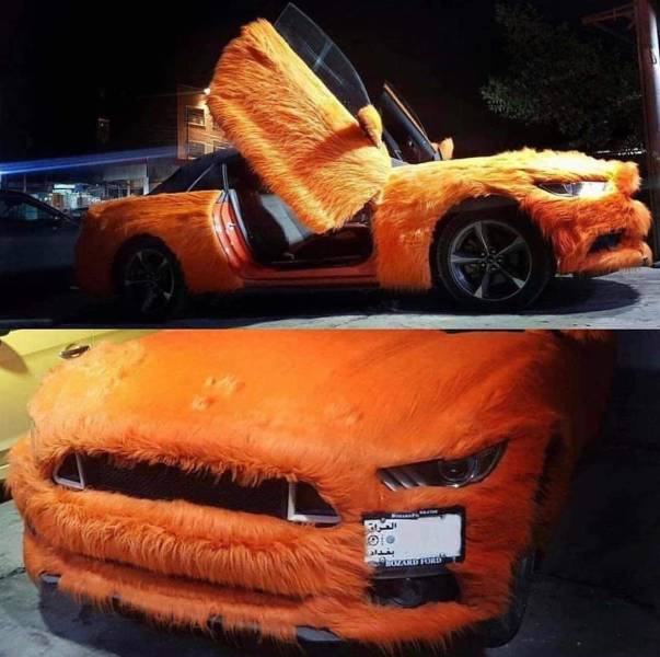 Hard-to-explain WTF Photos