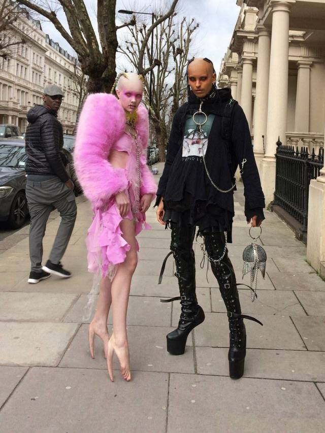 Hard-to-explain WTF Photos