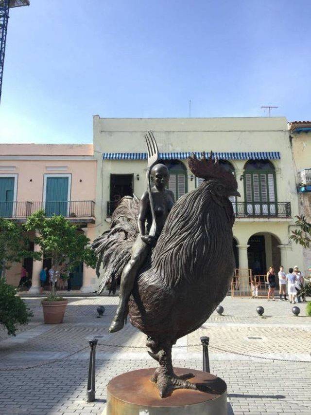 Hard-to-explain WTF Photos