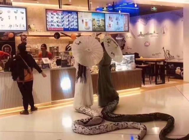 morning picdump 50 pics 5.html - 50 HD Photos | Premium Gallery 2018