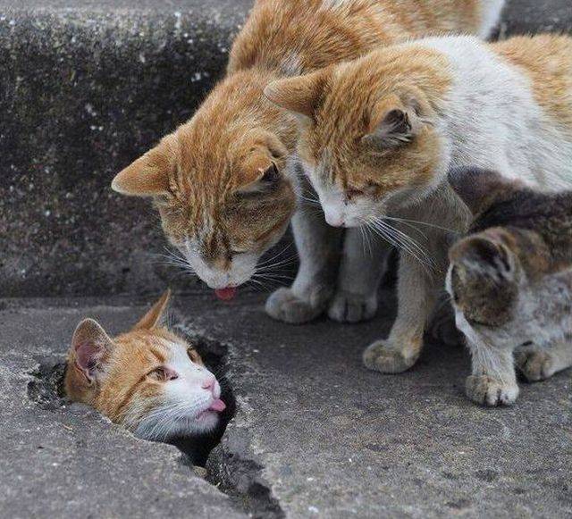 daily picdump 94 pics 4.html - 94 HD Photos | Premium Gallery 2018