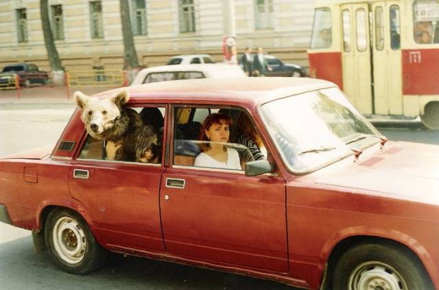 daily picdump 94 pics 4.html - 94 HD Photos | Premium Gallery 2018