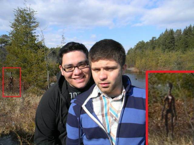 daily picdump 94 pics 4.html - 94 HD Photos | Premium Gallery 2018