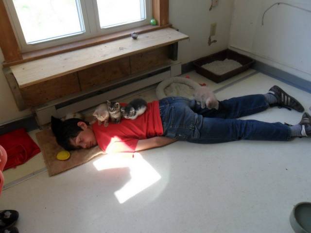 daily picdump 94 pics 4.html - 94 HD Photos | Premium Gallery 2018