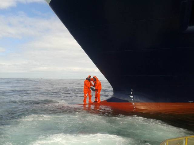 daily picdump 94 pics 4.html - 94 HD Photos | Premium Gallery 2018