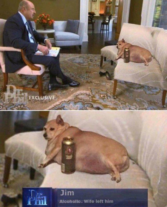 daily picdump 94 pics 4.html - 94 HD Photos | Premium Gallery 2018