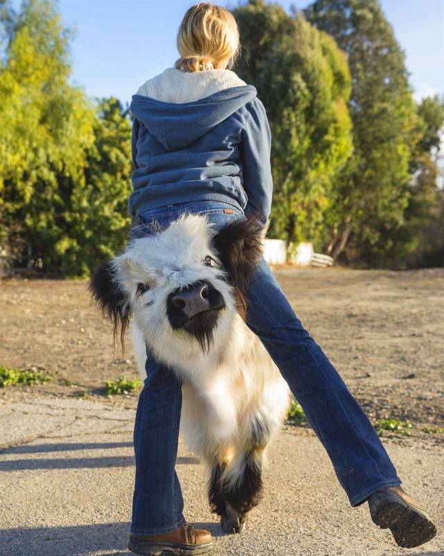 daily picdump 94 pics 4.html - 94 HD Photos | Premium Gallery 2018