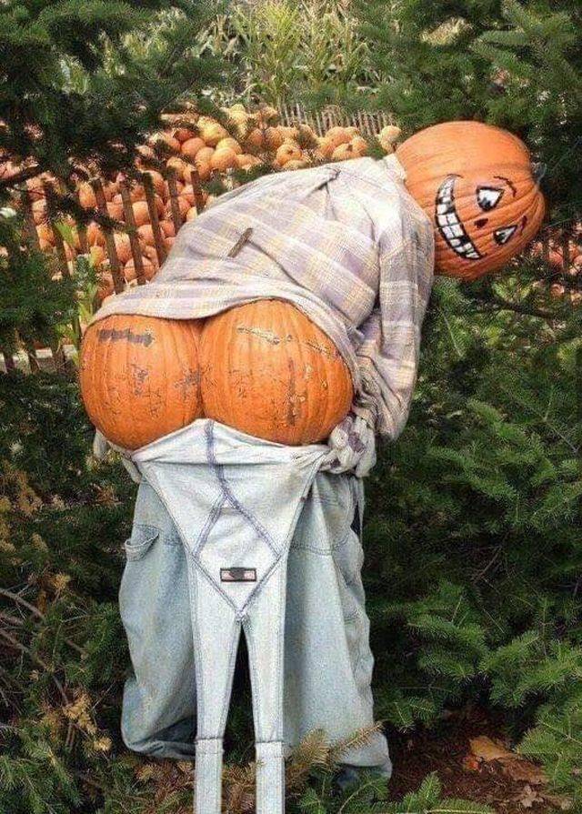 daily picdump 94 pics 4.html - 94 HD Photos | Premium Gallery 2018