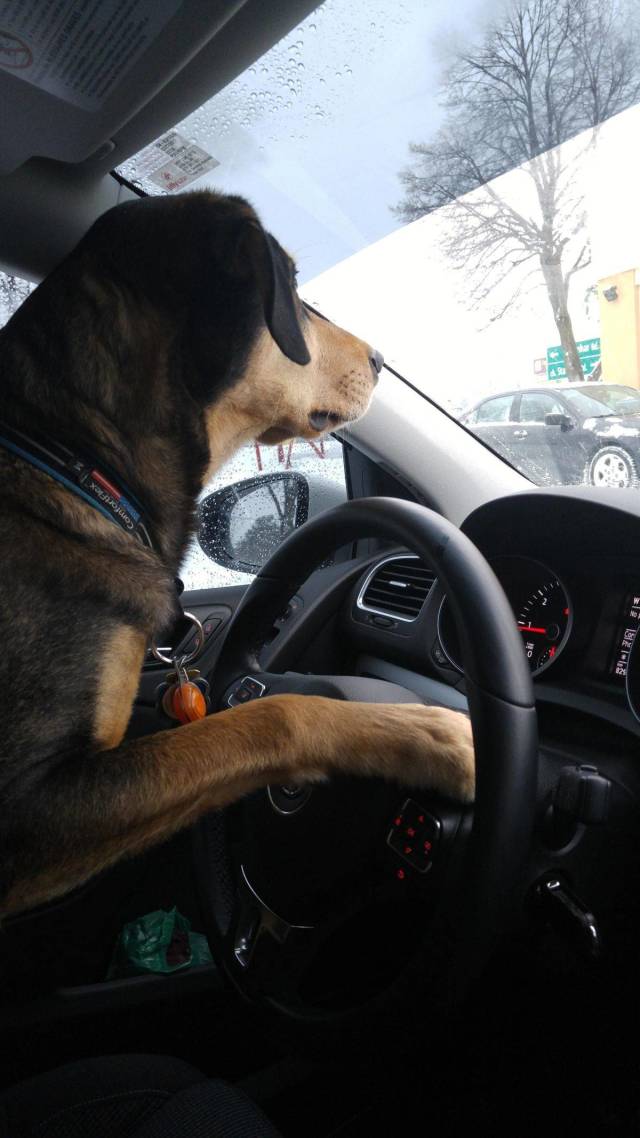 daily picdump 94 pics 4.html - 94 HD Photos | Premium Gallery 2018