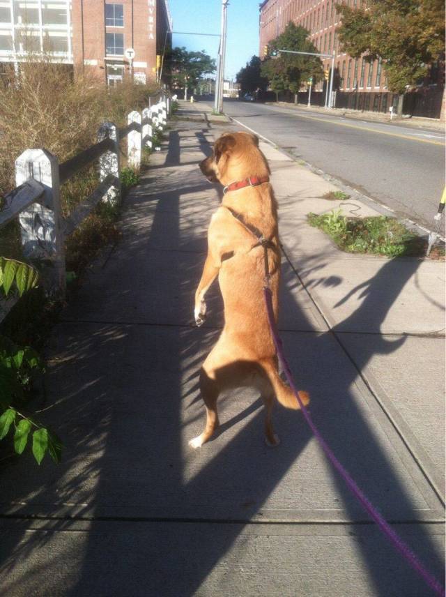 daily picdump 94 pics 4.html - 94 HD Photos | Premium Gallery 2018