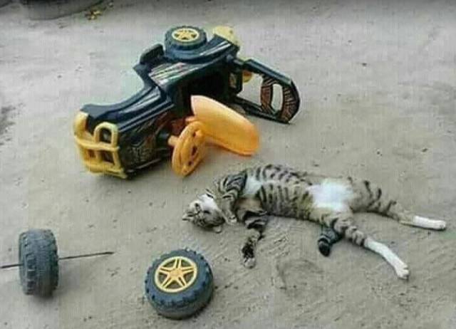 morning picdump 51 pics 5.html - 51 HD Photos | Premium Gallery 2018