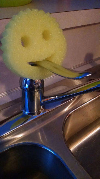 morning picdump 51 pics 5.html - 51 HD Photos | Premium Gallery 2018