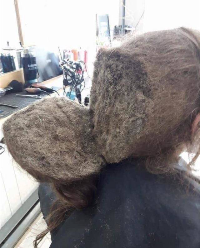 morning picdump 51 pics 5.html - 51 HD Photos | Premium Gallery 2018