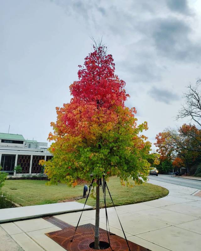 morning picdump 51 pics 5.html - 51 HD Photos | Premium Gallery 2018