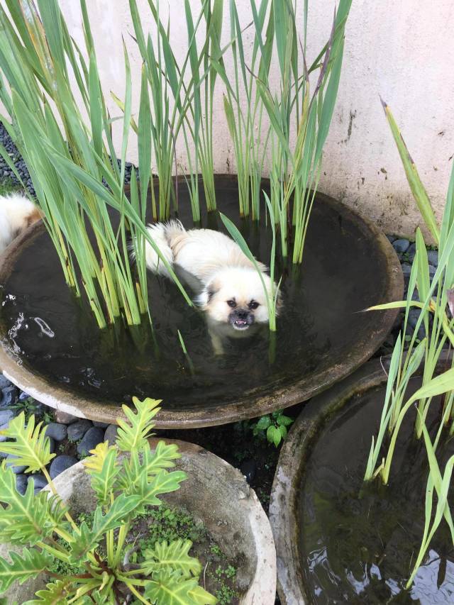 morning picdump 51 pics 5.html - 51 HD Photos | Premium Gallery 2018