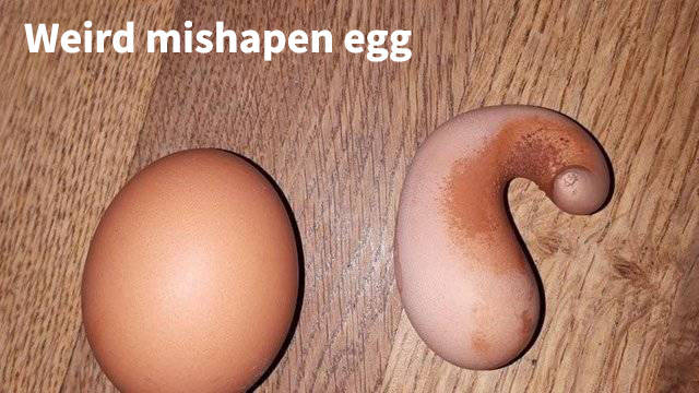 morning picdump 51 pics 5.html - 51 HD Photos | Premium Gallery 2018