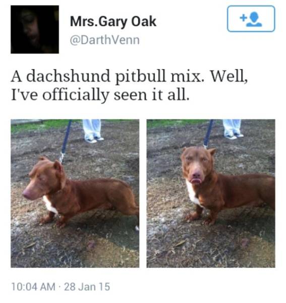 There Is A Line Where Science Should Stop