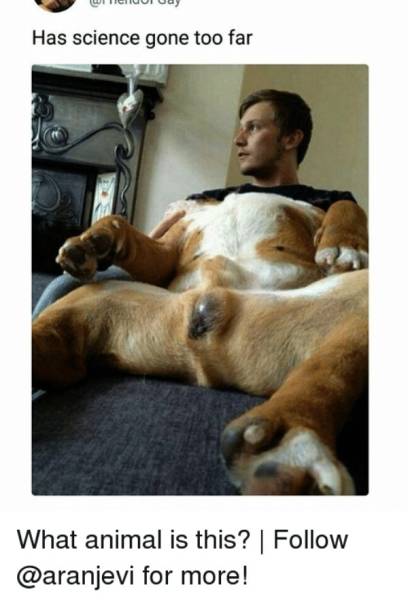 There Is A Line Where Science Should Stop