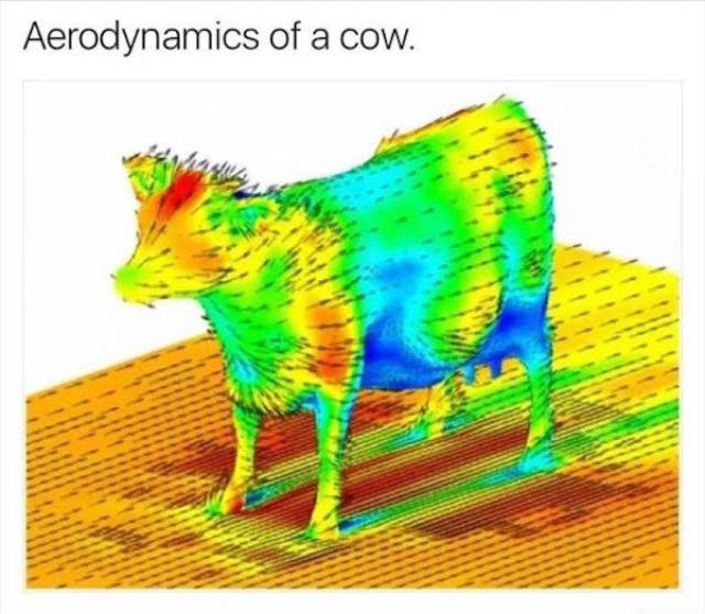 There Is A Line Where Science Should Stop